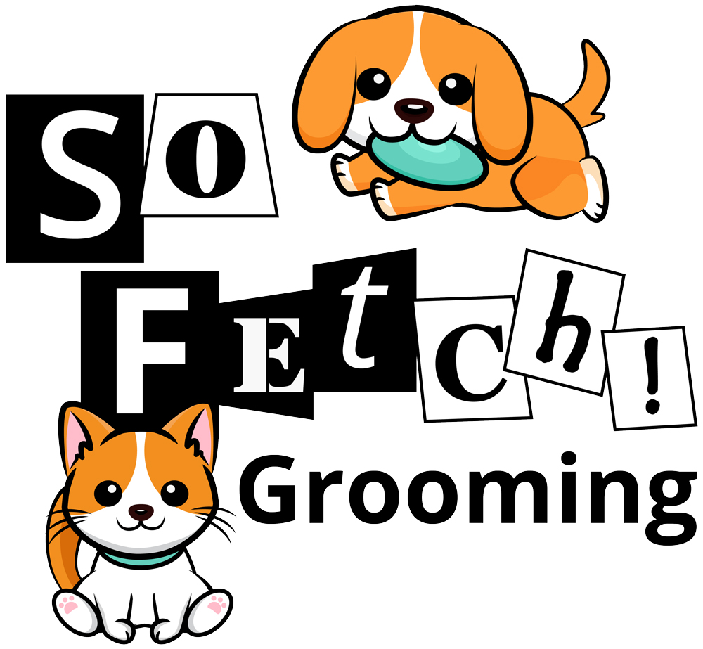 SO FETCH GROOMIMG